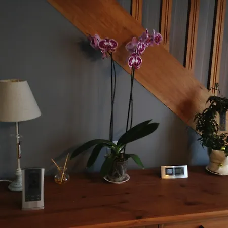 Charming Holiday In With Garden 펜션